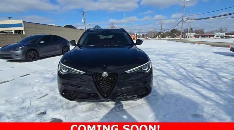 ALFA ROMEO STELVIO 2020 ZASPAKBNXL7C74843 image